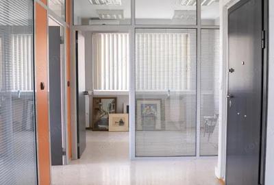 Birou de inchiriat in zona TimpurI Noi - 8