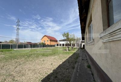 2 case renovabile, teren 1397 mp, front 29 ml, Brestei - 5