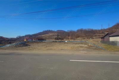 Teren de 1588 mp, în Brad - 5