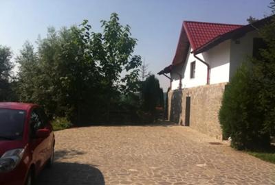 Casă cu 7 camere în Piatra (Provița de Jos) - 1