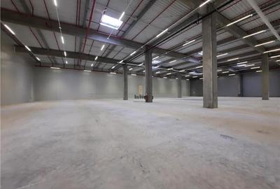 Spatii Industriale - 10000 mp - Logistica - Productie - Depozitare - Distributie - 1
