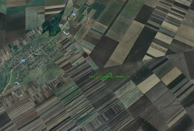 Vand teren arabil extravilan in Periam - 3