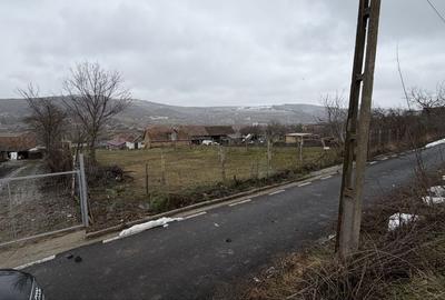 Spațiu comercial, în Păuca - 6