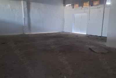 Spațiu comercial, de 120 mp, în Industriilor