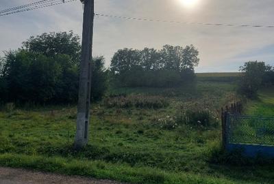 Teren intravilan sat Hărțău comuna Pănet Teren intravilan sat Hărțău comuna Pănet - 3