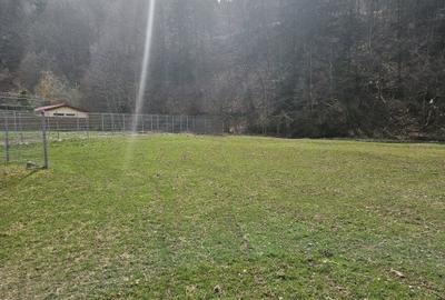 Spațiu comercial, în Cheia