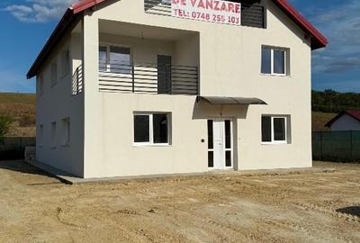 Proprietar-Casa în sat Dumbrava, Comuna Ciurea, Jud Iași, str. DJ 248D, nr. 385. - 9