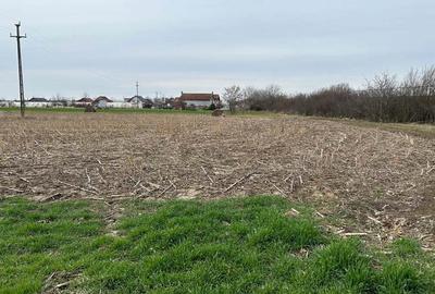 Vand parc.teren 7.800 mp(38x203),extravilan(posib.intravilan)la inrare in Zadareni - 4