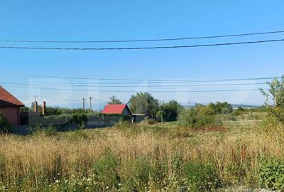 Teren intravilan si extravilan, 9500 mp, cu dubla deschider - 2
