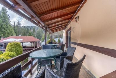 Hotel/Pensiune, de 404 mp, în Vlădeț - Trei Brazi - 28