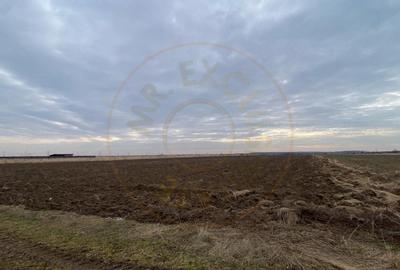 Teren intravilan 8.973 mp Loc. Albota -RESTAURANT LUXOR Arges - 4