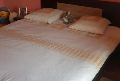 Casă cu 4 camere în Vlădești - 12