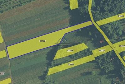 Teren intravilan 8147 mp – Băiculești, jud. Argeș - 1