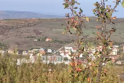 Spațiu comercial, în Borhanci - 7