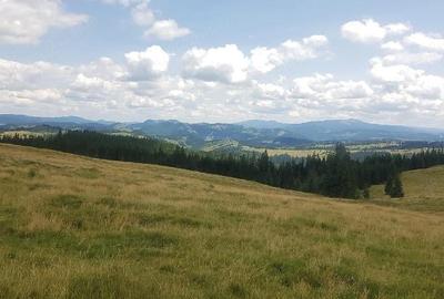 Teren de 160000 mp, în Breaza - 2