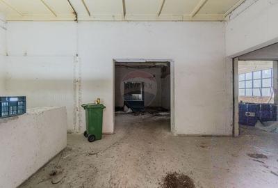 Spatiu industrial de 2060mp cu teren de 3358mp de vanzare Str Turnului Spatiu industrial de 2060mp cu teren de 3358mp de vanzare Str Turnului - 35