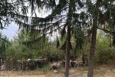 Casa de anzare con Ion corvin - 4