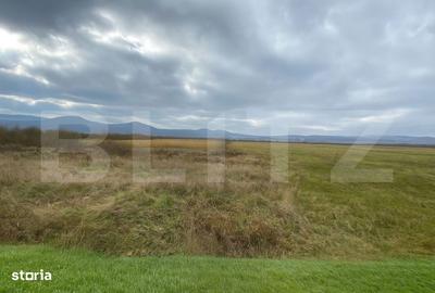 Teren de 15000 mp, în Central