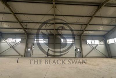 Hala industriala de inchiriat | 300 mp | Bariera Bucov | ... - 6