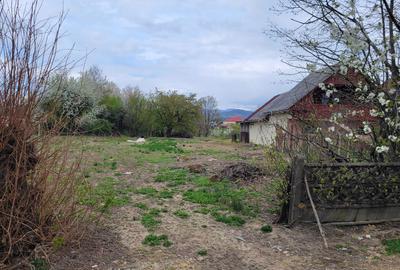 Teren de 4600 mp, în Recea - 1