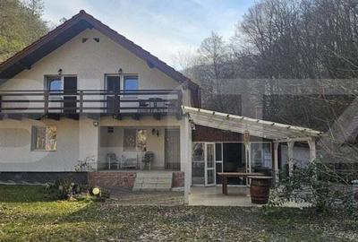 Casa in inima naturii, 140 mp la doar 15 minute de Hunedoara - 18