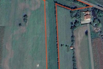 Teren agricol intravilan de 5500 mp, în Prejmer - 2