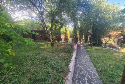 Casa de vanzare in Breaza - Zona Capul Campului - 45