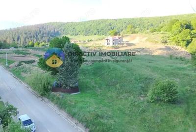 TEREN intravilan PIATRA NEAMT strada DRAGOS VODA (Valea Viei) TEREN intravilan PIATRA NEAMT strada DRAGOS VODA (Valea Viei) - 5