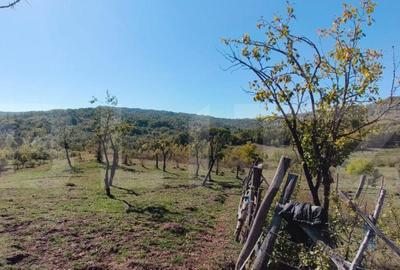 Teren extravilan cu priveli?te superba , livada ?i poten? - 17