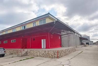 Spațiu comercial, de 13,917 mp, în Vladimirescu - 5