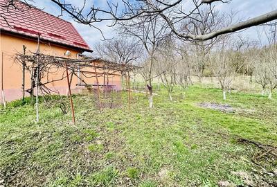 Casă individuală cu 2 camere cu Canalizare în Nucet - 11