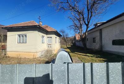 Vand Casa Capusu Mic teren 1422 mp - 1