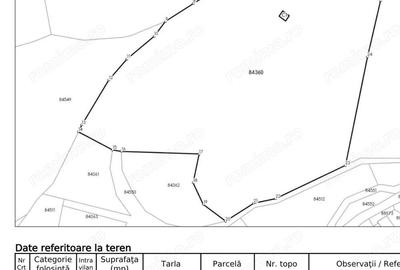 Teren extravilan 4 mp Valea Cheii Dambovicioara - 3