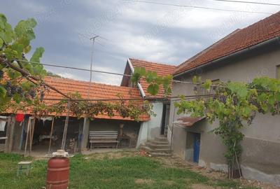 Casa de vanzare cu gradina 8000m - 8