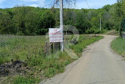 Intravilan Tiparesti, relaxare aproape de padure - 7