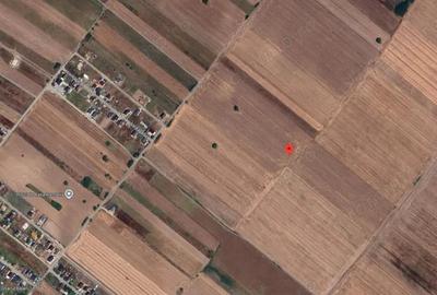 Teren Extravilan In Rate Primaverii Com. Berceni | 5901mp | #EG40 - 2