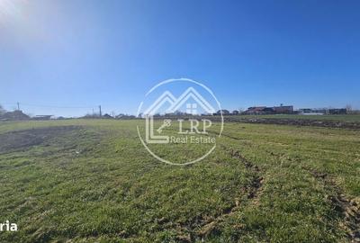 Teren de 646 mp, în Dascălu - 6