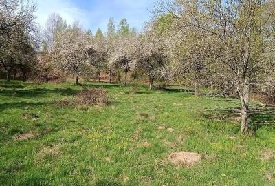 Teren de 8864 mp, în Voislova - 10