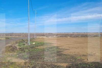 Teren de 697 mp, în Sânmihaiu Român - 4