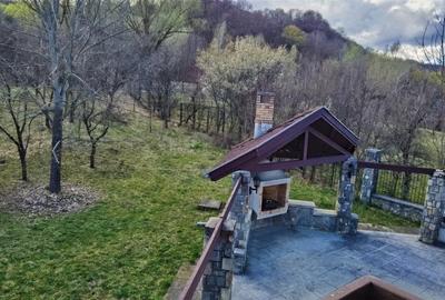 Castel  langa Breaza cu panorama directa spre Crucea Caraiman - 18