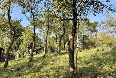 Casă cu 3 camere în Drumul Carului - 3