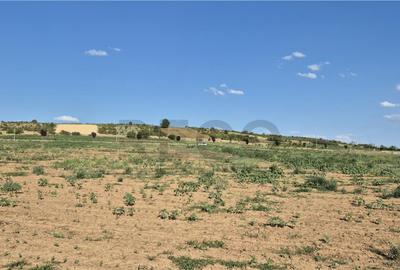 Reco Teren Extravilan Episcopia aproape de Remarkt - 4