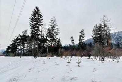 Teren de 800 mp, în Bunloc - 8