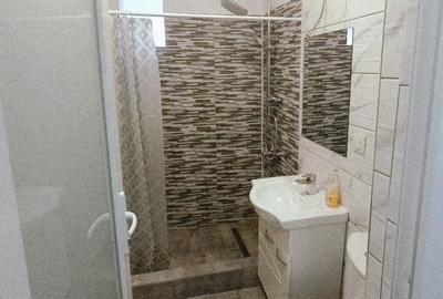 Apartament cu 2 camere semidecomandat în Gorjului - 14