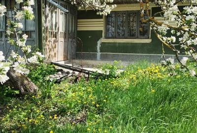 Vand casa si teren in Oltenesti, jud Vaslui - 3