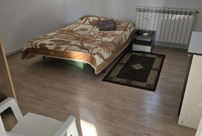 Apartament cu 2 camere decomandat în Vest - 2