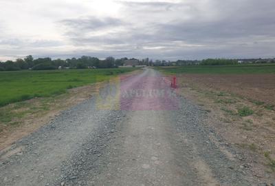 Teren Construcții intravilan de 7567 mp, în Sud - 9