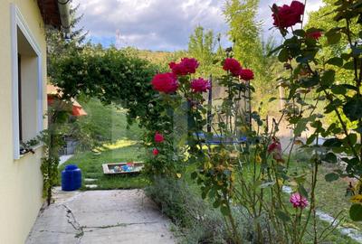 Casa renovata integral Suceagu, com. Baciu | Teren 1950 - 5