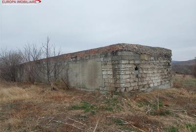 Teren de 6300 mp, în Babadag - 5