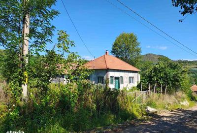 Casă cu 3 camere în Vălișoara - 6